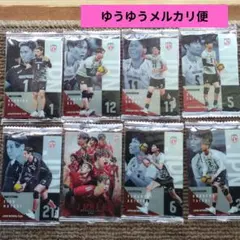バレーボール男子日本代表 メタリックプラカード 8枚セット