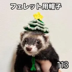 Item thumbnail for item b57f9d28-c668-4236-9c77-9b0fb499a235