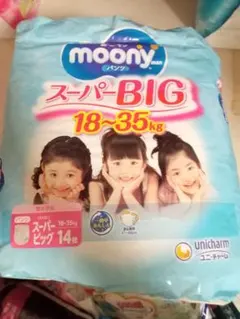 Item thumbnail for item 87f46bd2-e758-4734-b57e-b71559aa5762