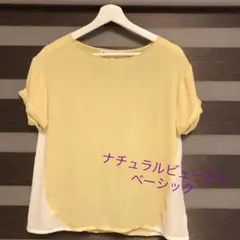 美品♡ナチュラルビューティ シフォントップス