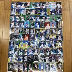 ヤクルト　カード　100枚