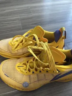 Li-Ning Rylee Mitchell バスケットボールシューズ 25cmのサムネイル