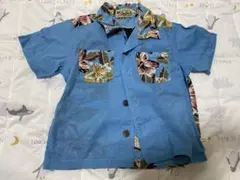 Item thumbnail for item 114c0943-ecba-41c7-9390-81d4ddb556fa