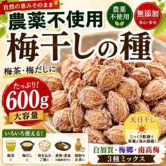 ✨農薬不使用 無添加 乾燥梅干しの種600g 大容量 梅茶・梅だし 塩分補給✨のサムネイル