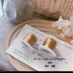 ★SALE★ アーティスティックワイヤー　 2個　送料込み！