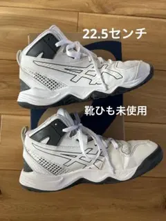 アシックス　ダンクショット　バッシュ　バスケットシューズ　22.5センチ　男