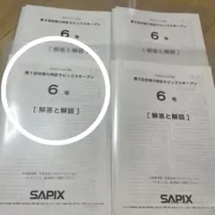 2025年10月実施6年第2回合格力判定サピックスオープン - メルカリ