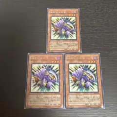 タケ様 リクエスト 3点 まとめ商品