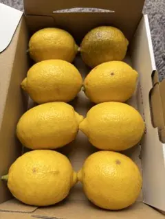 広島県産 瀬戸内レモン 農薬不使用 8個 1.36kg② - メルカリ