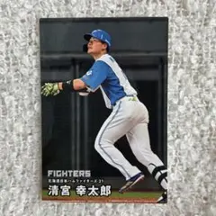 カルビー プロ野球チップス 清宮幸太郎 北海道日本ハムファイターズ