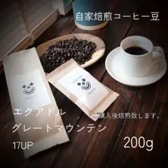 【チョコのような甘み】エクアドル グレートマウンテン 17UP　200g