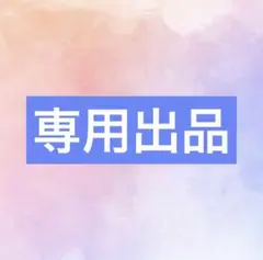 専用出品