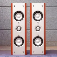 Peerless ドライバー + Fostex P2080-E スピーカー - メルカリ