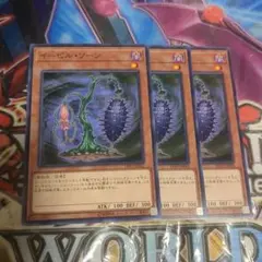 イービルソーン　3枚