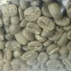 プレーリードッグ(リピート)様専用　コーヒー生豆各20㌘９種類(合計180㌘)