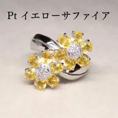 2026年最新】プラチナ サファイア 花の人気アイテム - メルカリ