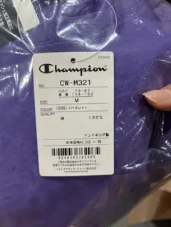 Champion 半袖Tシャツ　Mサイズ