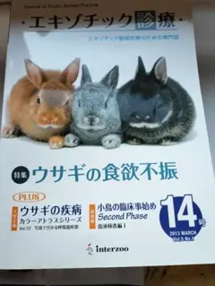 Item thumbnail for item 833b04dc-599c-4624-abdf-76a242049240