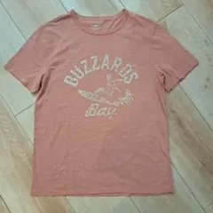 Item thumbnail for item 145a05cf-bdb4-443e-bffb-8442c561f2a6