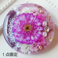 fu-21 ハンドメイド ヘアゴム ブローチ ポニフ キーホルダー