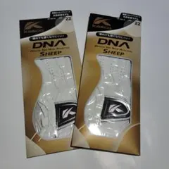 Item thumbnail for item ab9a2efd-1497-4b04-97cc-59fa1c501b96