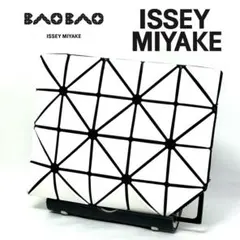 【大人気良品】 BAO BAO ISSEY MIYAKE FLIPPER ケース