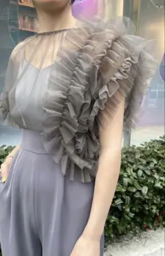 LAGUNAMOON LADYチュールドッキングコンビネゾン チャコールグレーS