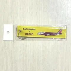 back number peach ボトル　アクスタ　ステッカー　フライトタグ ピーチ、back numberとコラボグッズ 関空にポップアップ店舗2日間
