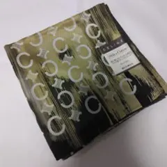 Item thumbnail for item 012dc091-2b61-44fa-9ff5-36c78aded180