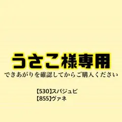 〔A76〕うさこ様専用