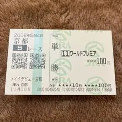 ロブチェン メイクデビュー京都 現地応援馬券♪ - メルカリ