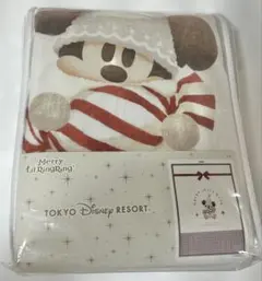 【新品未使用】リルリンリン毛布　東京ディズニーリゾートクリスマス