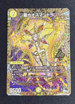 聖カオスマントラ B シク シークレット - メルカリ