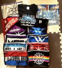 三代目J SOUL BROTHERSライブTシャツ、タオル、フラッグ