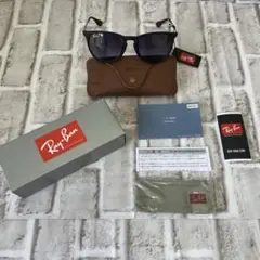 【新品未使用】Ray-Ban レイバン ERIKA RB4171F サングラス