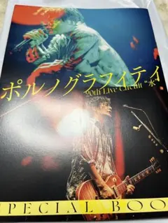 ROCKIN'ONJAPAN10月号 別冊ポルノグラフィティのみ