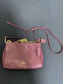 COACH ワンショルダーバッグ 肩掛け レザー 紫 チャーム 金色 美品 