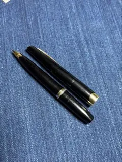 2025年最新】プラチナ ショート 万年筆の人気アイテム - メルカリ