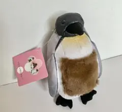 フェリシモ YOU+MORE! オウサマペンギン 思春期　ポーチ