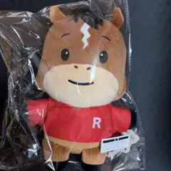 JSB3 GAN（岩田剛典）SPACECOWBOY ロッキーBIGぬいぐるみ - メルカリ