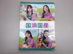 乃木坂クリアファイル