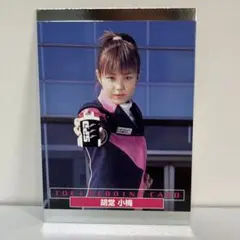 東映ヒーローネット　特捜戦隊デカレンジャー　デカピンク
