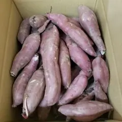 サツマイモ 茨城県産 紅はるか 箱含む 10キロのサムネイル