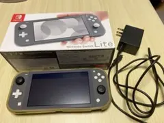 Nintendo Switch Lite グレー 充電器付き
