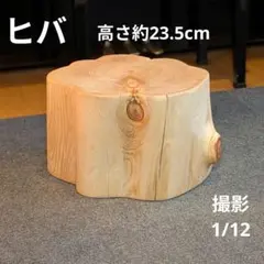 天然ヒバ　切り株　丸太　椅子　スツール　高さ約23.5cm