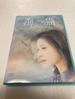 씨 캣 DVD (선반 16)