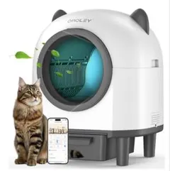 Item thumbnail for item 6ee876ec-c061-46c7-a38b-a0322a43af1b