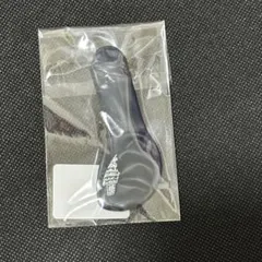 Item thumbnail for item 4d063eb5-be4a-4d1c-aa81-75952bd3b19c