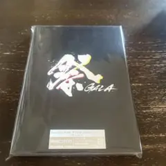 祭 GALA〈初回盤・2枚組〉
