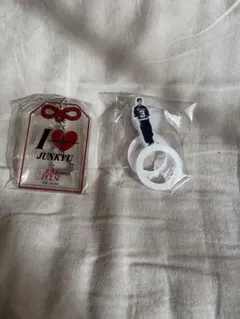 treasure ジュンギュ アクキー